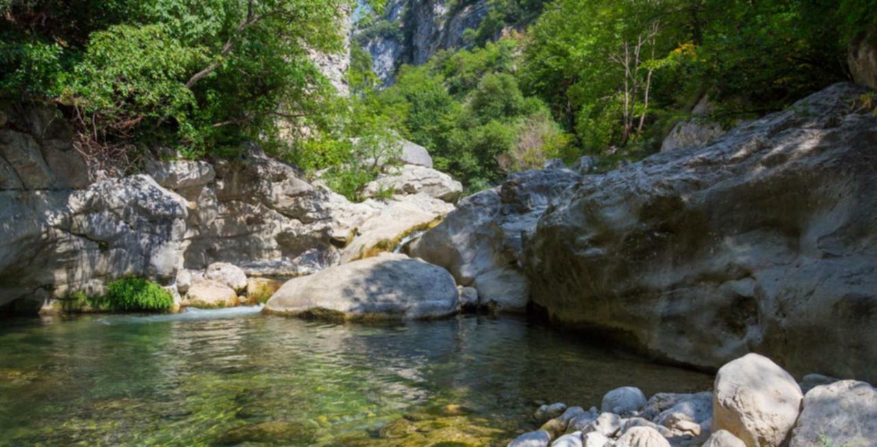 Gite Du Tilleul - 2 Etoiles - Domaine De L'Olivier Faugères in Rhone-Alpes Exterior foto